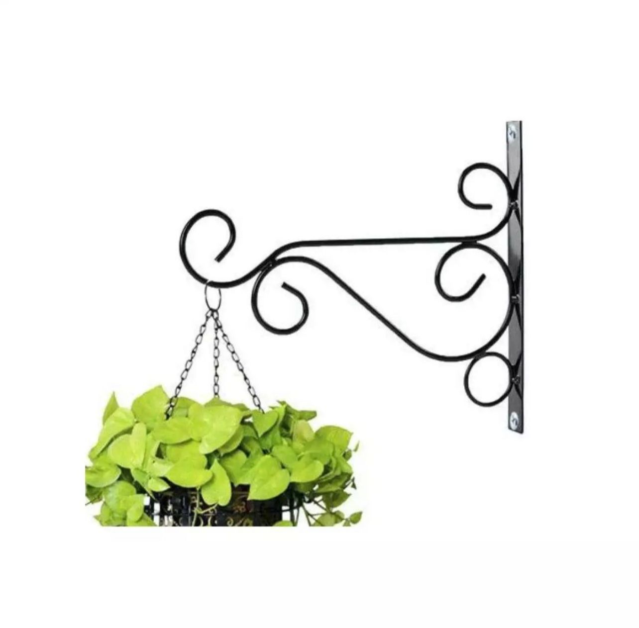 Iron Garden Wall Hanging Stand - Buynowpakistan