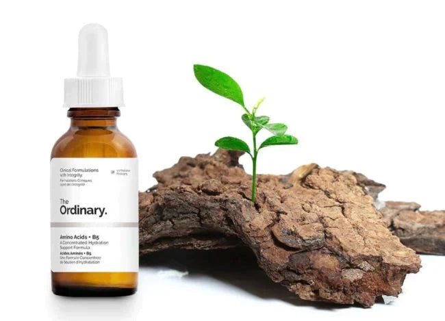 The Ordinary Amino Acids + B5 - Buynowpakistan